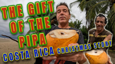 Gift of the pipa