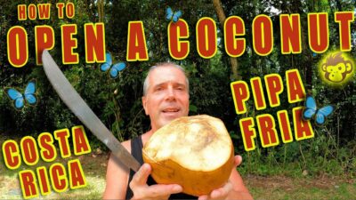 How to open a Coconut, Aqua de pipa, Pipa fria, coco in Costa Rica