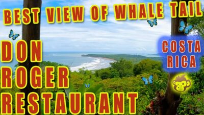 Don Roger Restaurant- The Best view of The Whale Tail, Uvita Costa Rica