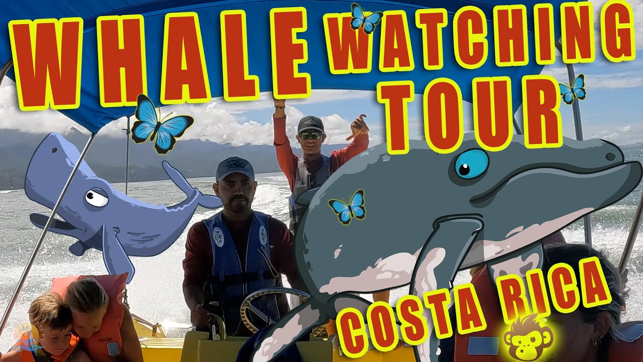 Whale watching tour Bahia Costa Rica - Costa Rica Story