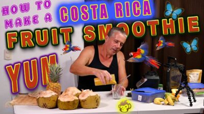 How to make a Fruit Smoothie- Costa Rica Style