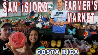 🥭San Isidro Farmers Market Costa Rica Exotic Fruit🍇 🍈 🍉 🍊 🍋 🍌 🍍  🍎 🍏🍑 🥝 🍉 🥥 🍋 🍐 🍋‍🟩