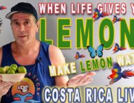 Costa Rica Life gives you Lemons make Lemon Water