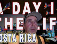 Living in Costa Rica- A Day In The Life-The Good the bad & the Ugly!