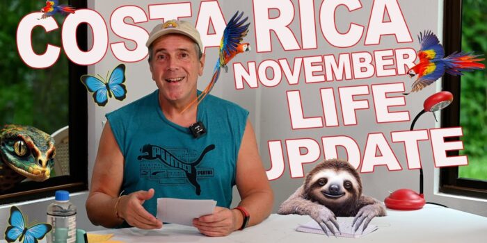 Costa Rica Life Update November 2024